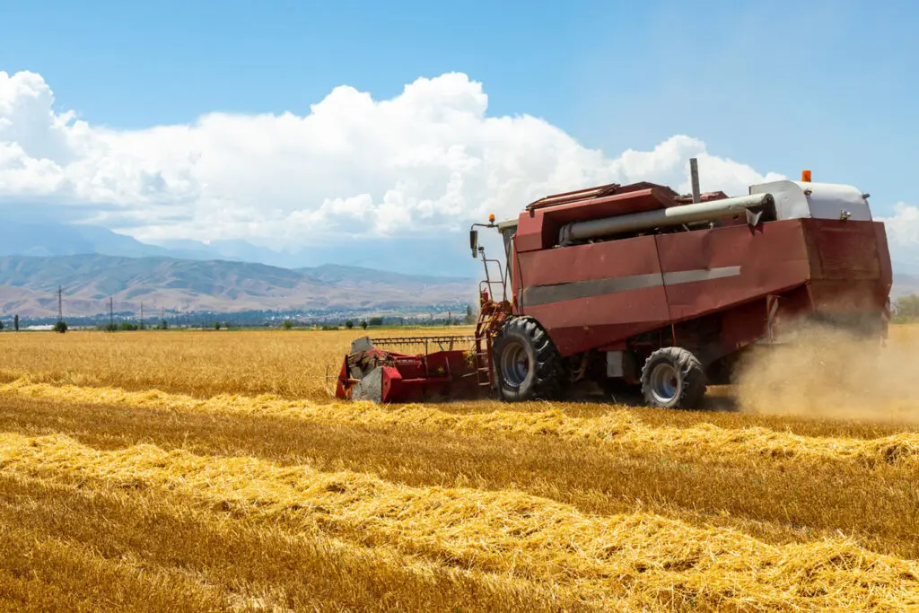 A-combine-harvesting-a-field-of-wheat